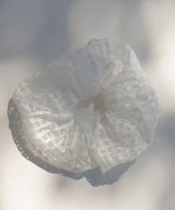 PIPE AND ROW SHEER CHECK WHITE SCRUNCHIE
