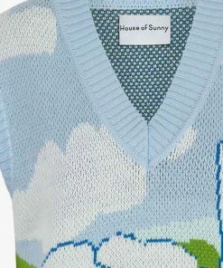 HOUSE OF SUNNY RIDE A WHITE SWAN