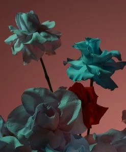 BOY SMELLS CAMEO MAGNUM CANDLE