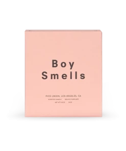 BOY SMELLS LES CANDLE