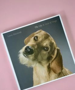 COFFEE TABLE BOOKS THE LIFE AND LOVE OF DOGS BOOK NEW IN