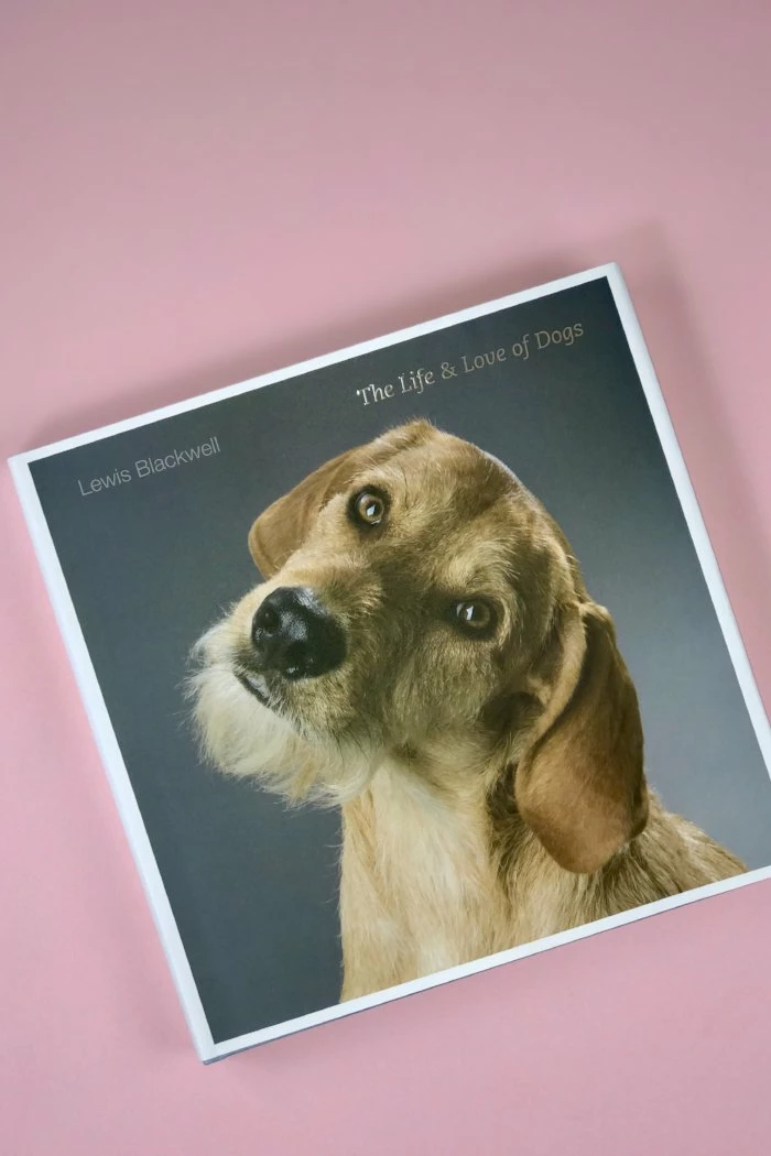 COFFEE TABLE BOOKS THE LIFE AND LOVE OF DOGS BOOK NEW IN 1 COFFEE TABLE BOOKS THE LIFE AND LOVE OF DOGS BOOK NEW IN