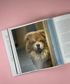 COFFEE TABLE BOOKS THE LIFE AND LOVE OF DOGS BOOK NEW IN 7 COFFEE TABLE BOOKS THE LIFE AND LOVE OF DOGS BOOK NEW IN