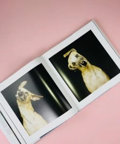 COFFEE TABLE BOOKS THE LIFE AND LOVE OF DOGS BOOK NEW IN 6 COFFEE TABLE BOOKS THE LIFE AND LOVE OF DOGS BOOK NEW IN