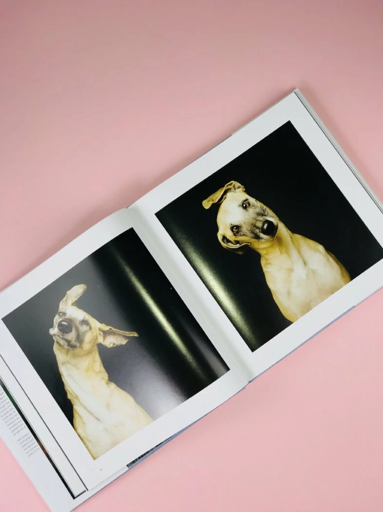 COFFEE TABLE BOOKS THE LIFE AND LOVE OF DOGS BOOK NEW IN 3 COFFEE TABLE BOOKS THE LIFE AND LOVE OF DOGS BOOK NEW IN