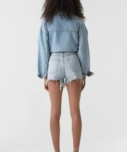 AGOLDE DEE DENIM SHORTS ULTRA HI RISE DIGIT