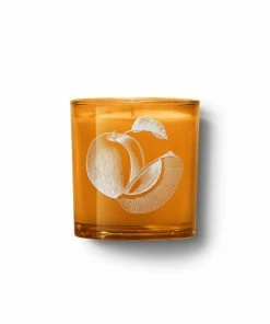 BOY SMELLS DAMASQUE CANDLE